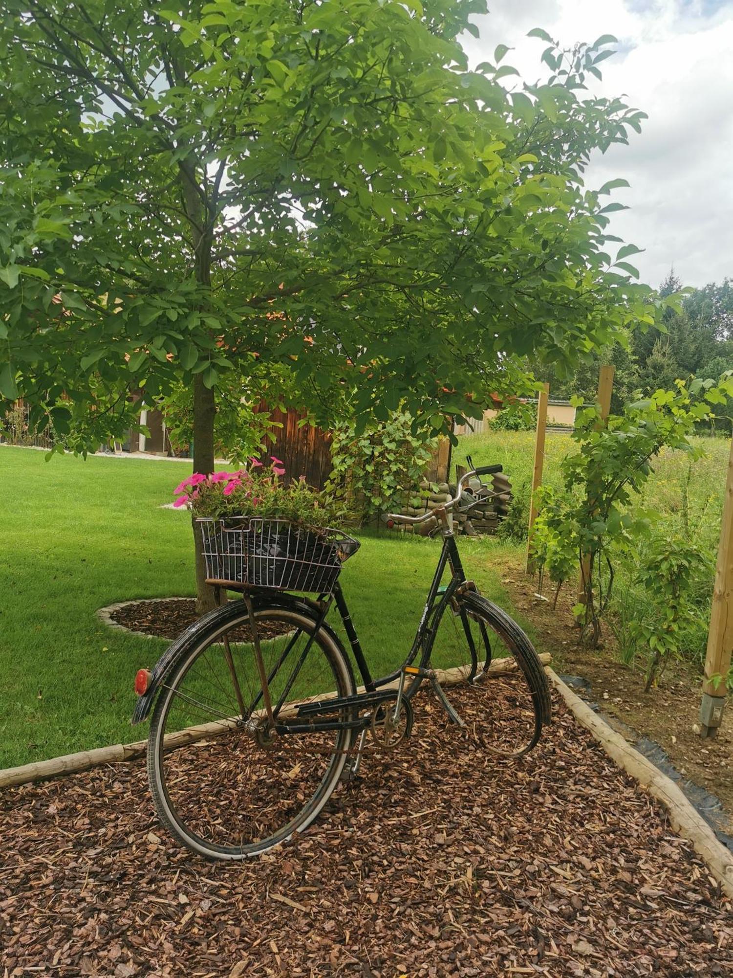 Privat Glamping Spielberg Campsite